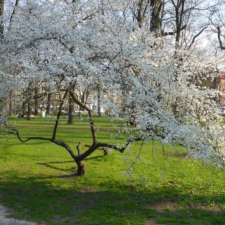 Apartment Garden Krakau